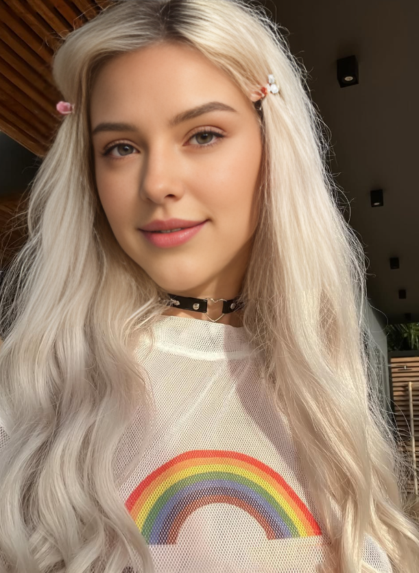 Model x